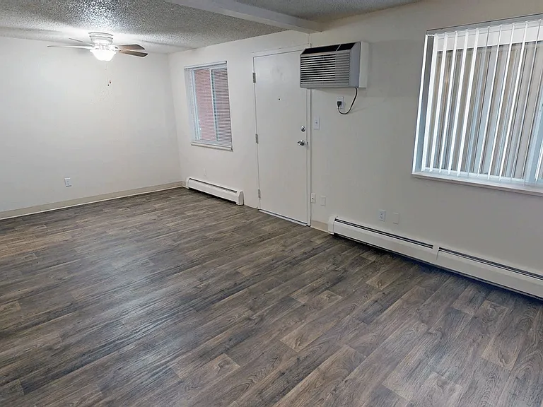 Expansive Living Space with Hardwood-Style Flooring