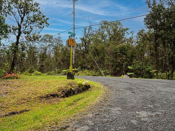 3rd image of JUNGLE KING AVE