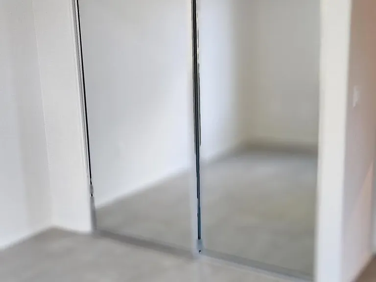 primary bedroom, large walk-in closet behind mirror