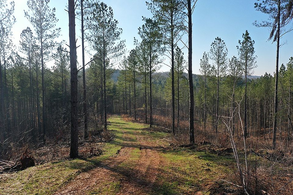2nd image of Oak Hill Rd