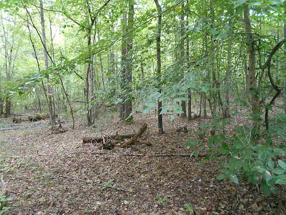 3rd image of 000 County Road 228
