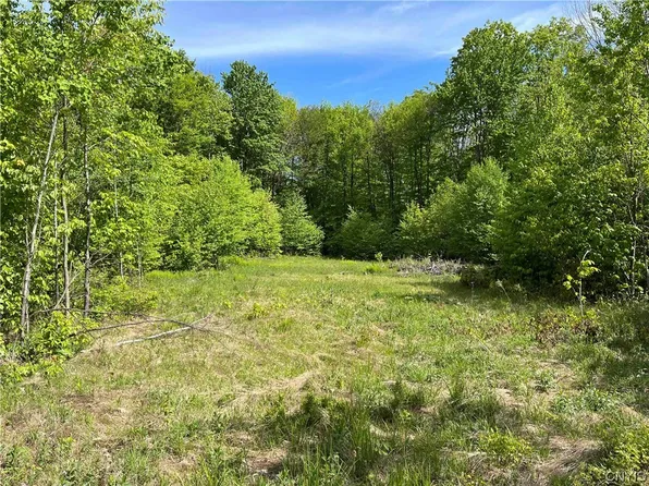 0 Bone Run Rd, Frewsburg, NY 14738