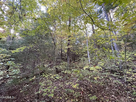 5th image of 0 Joy Way Lot 45