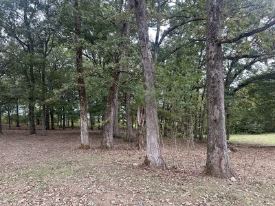 3940 Clifty Rd, Paris, TN, 38242