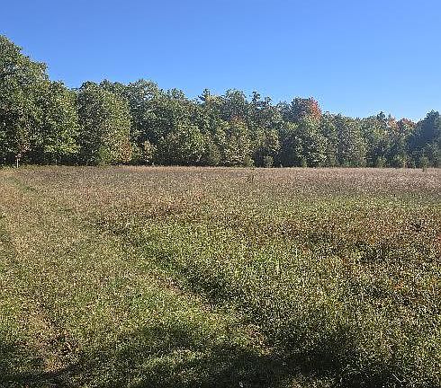 5th image of 0 N Eleven Mile Rd