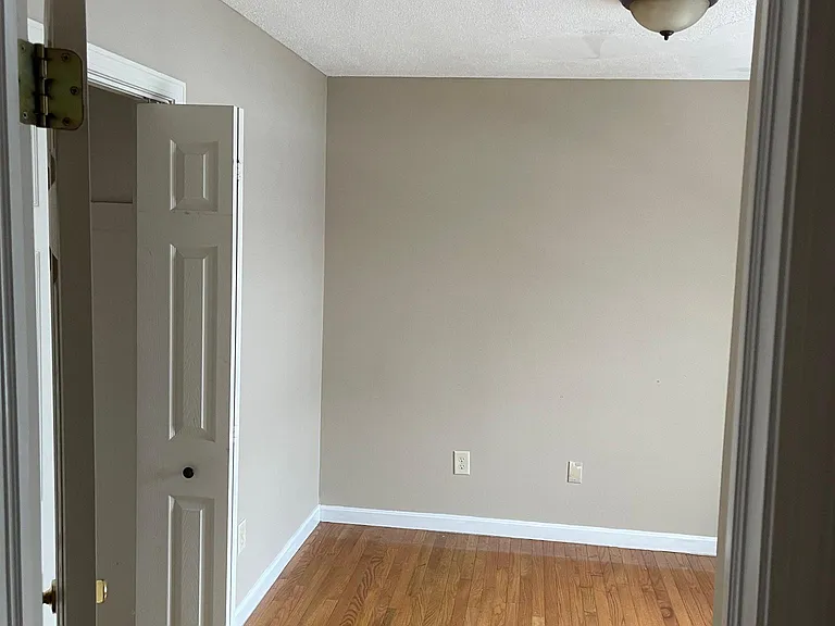 306 Britannia St #3 — Photo 4