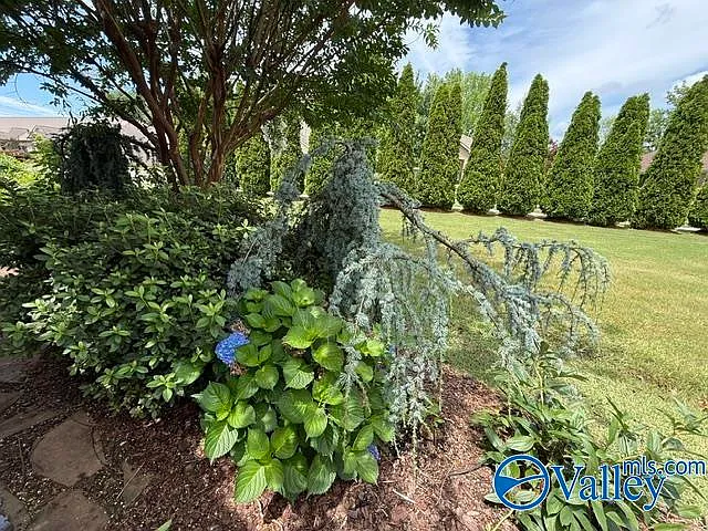 20 Cypress Garden Ave SW — Photo 41