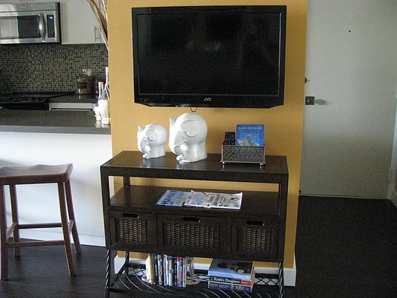 TV in the Living Area