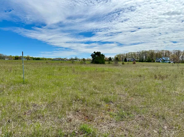Mullett View Rd, Cheboygan, MI 49721