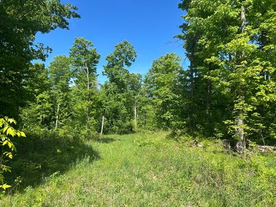 11 Cth Z #G, Pelican Lake, WI, 54463