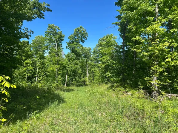 11 Cth Z #G, Pelican Lake, WI 54463