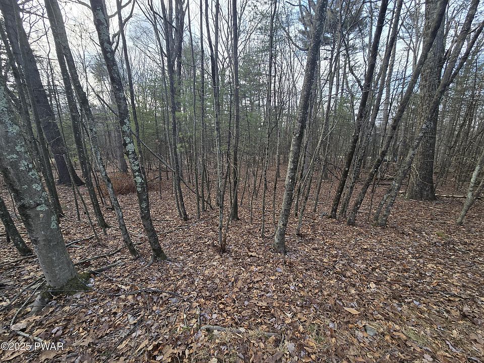 2nd image of LOT 1052 Spicebush Ln