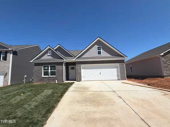 260 Chimney View Loop, Blountville, TN 37617