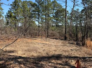 288 Straightaway Ln, Gaston, SC 29053