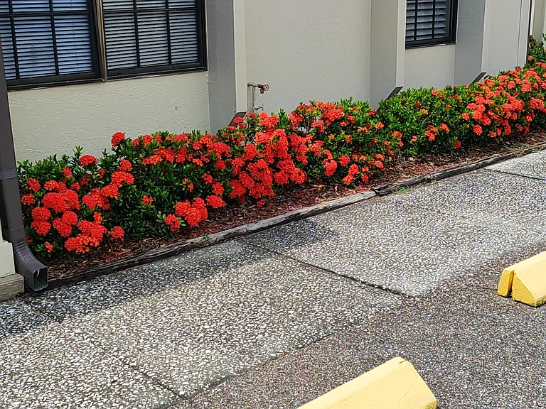 7756 62nd Way N #D — Photo 27
