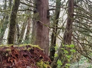 1861 NE Tahuya River Dr, Tahuya, WA 98588