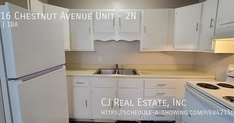 1016 Chestnut Ave #2N — Photo 5