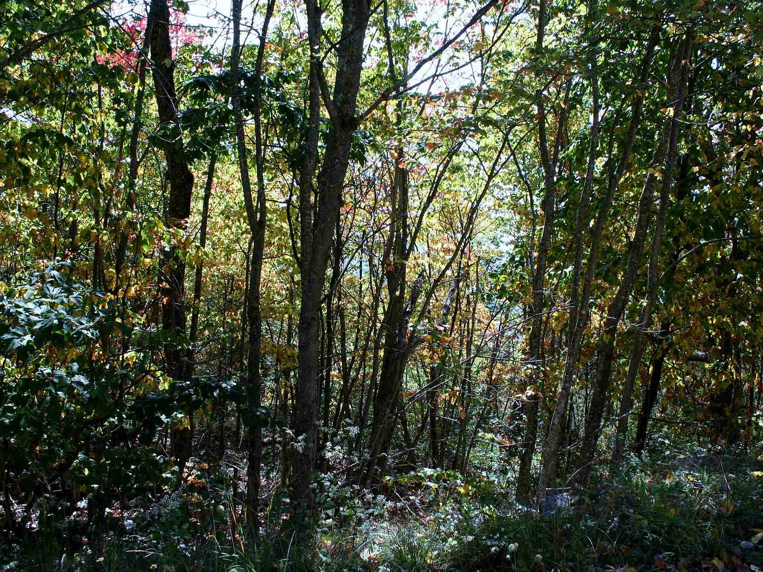 High Valley Rd 66, Monterey, VA 24465 Zillow