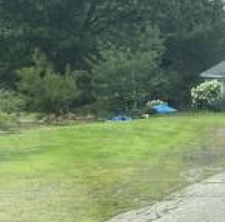 Exterior Neighborhood (street photo)