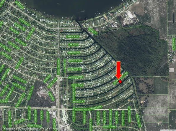 157 Bougainvillea St NE, Lake Placid, FL 33852