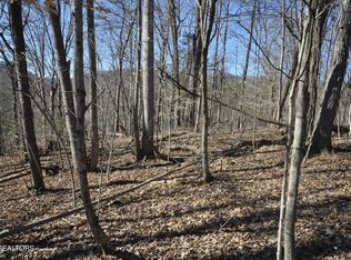 0 Old Tazewell Pike, Luttrell, TN 37779