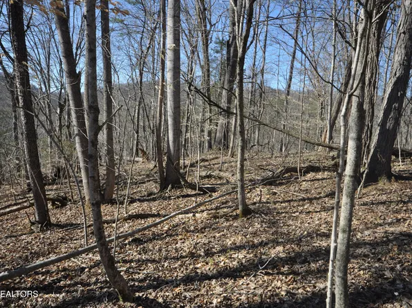 0 Old Tazewell Pike, Luttrell, TN 37779