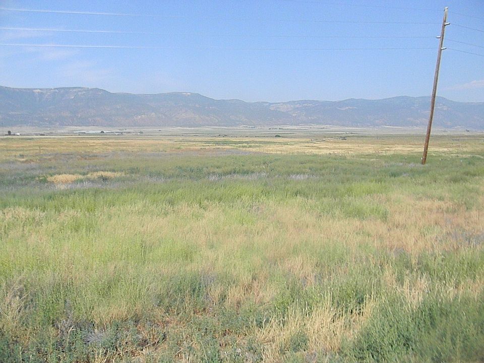 1st image of 50 N Ducksprings