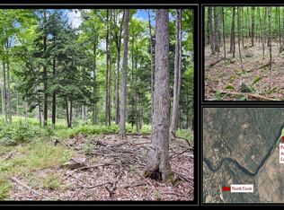 L19 River Rd, North Creek, NY 12853