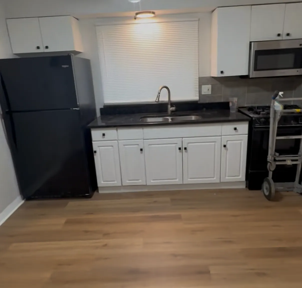 2 bed, 700 sqft, $1,250 — Photo 2