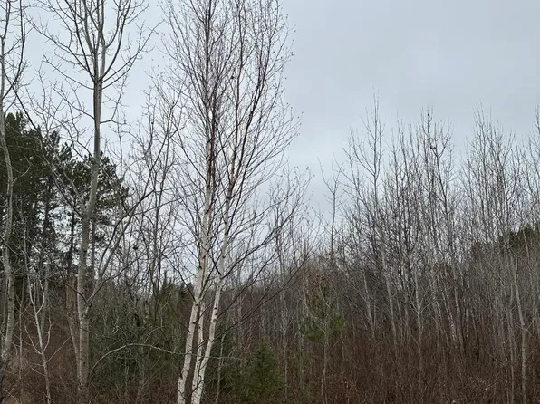 Swamp Lake Rd #4069-11, Tomahawk, WI 54487