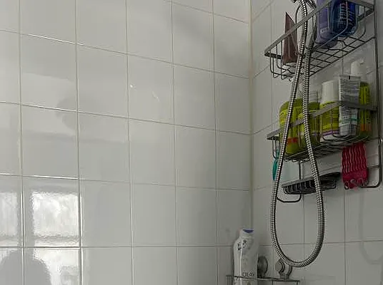 Rented by Living New York | media 19