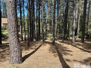 546 Pleasant Valley Rd, Markleeville, CA 96120