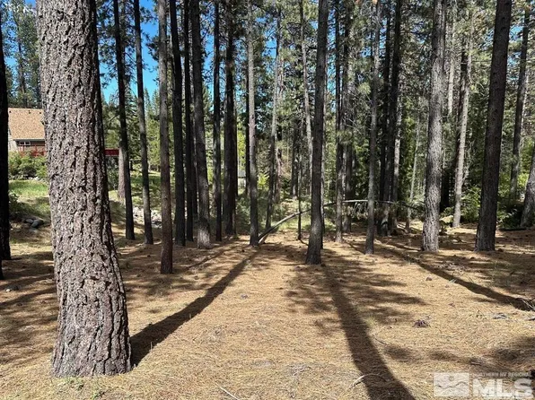 546 Pleasant Valley Rd, Markleeville, CA 96120