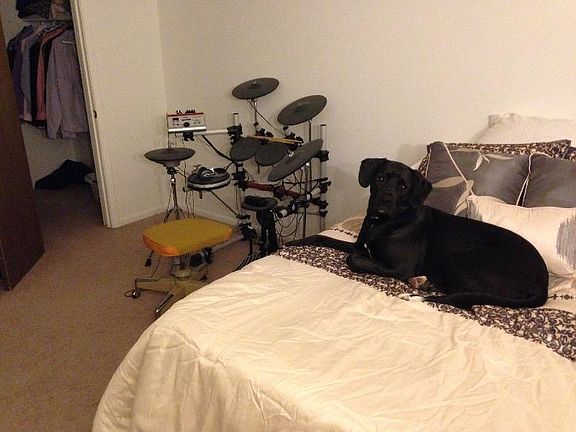 4th image of 1003 Maplewood Dr APT 110