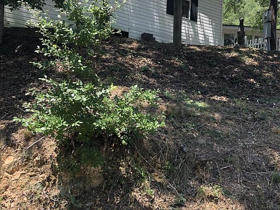 3rd image of 382 White Oak Creek Cir