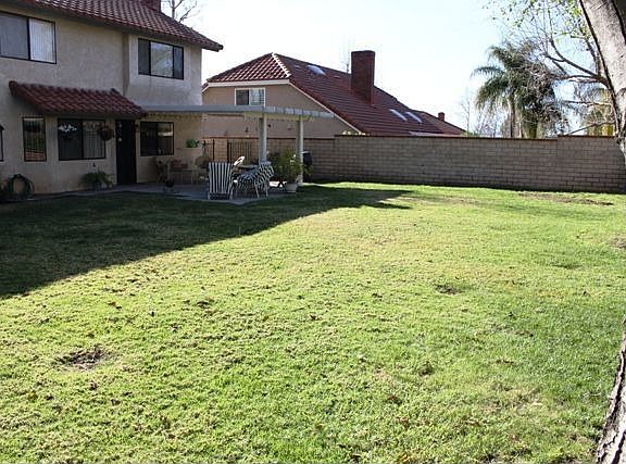 backyard II