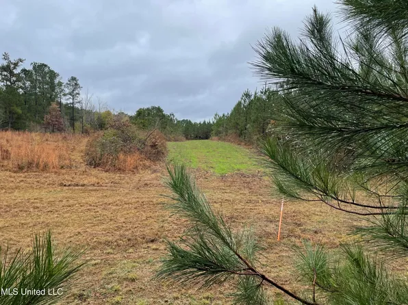 County Road 4167, Sallis, MS 39160