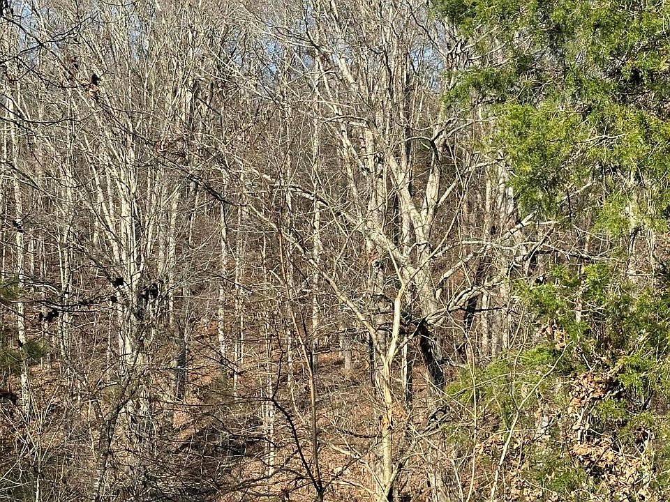 2nd image of LOT 1 Lower River Rd NW