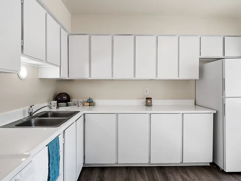 Carleton Terrace Apartments — Photo 7