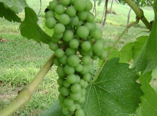 11511 Austin Ridge Rd, Locust Grove, VA 22508