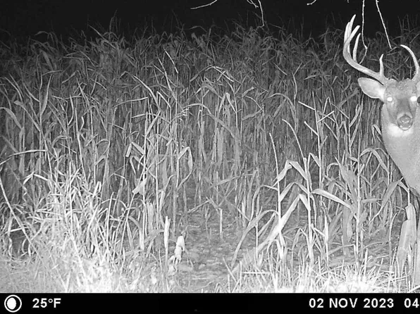 E4097 County Road O, Viroqua, WI 54665