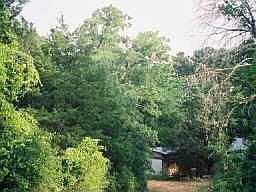 1st image of 129 Chickasaw