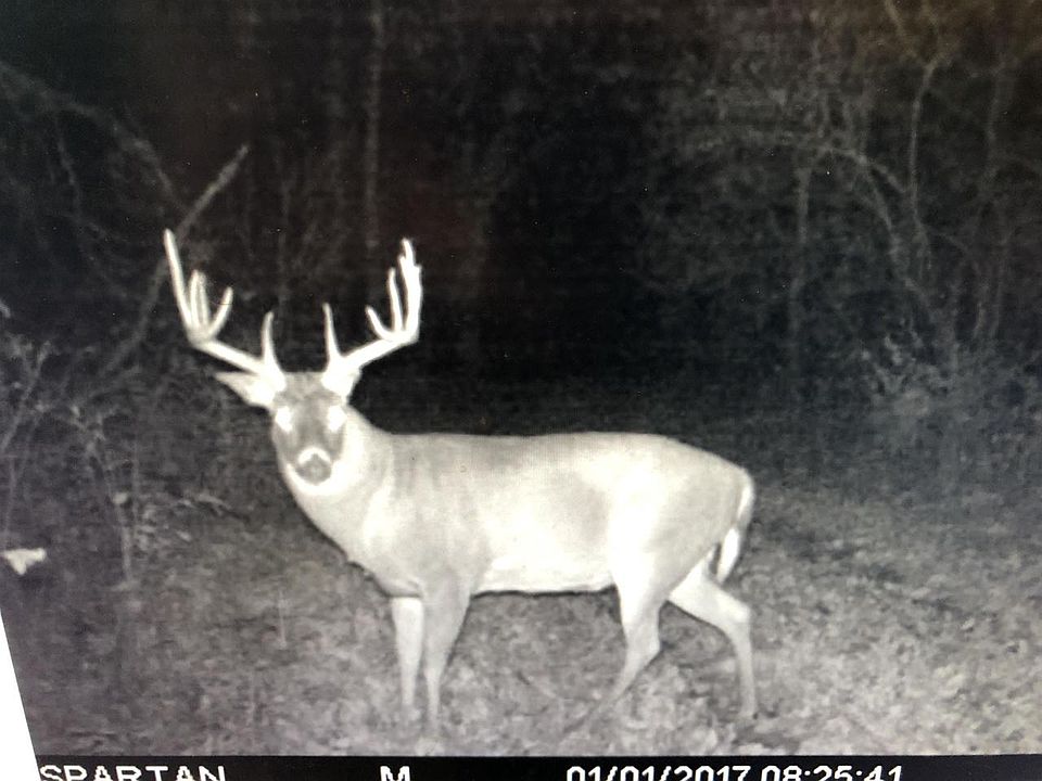 15506 Pine Valley Road, Richland Center, WI 53581 Zillow