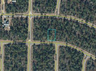 LOT 20 Rockford Dr, Sunny Hills, FL 32428