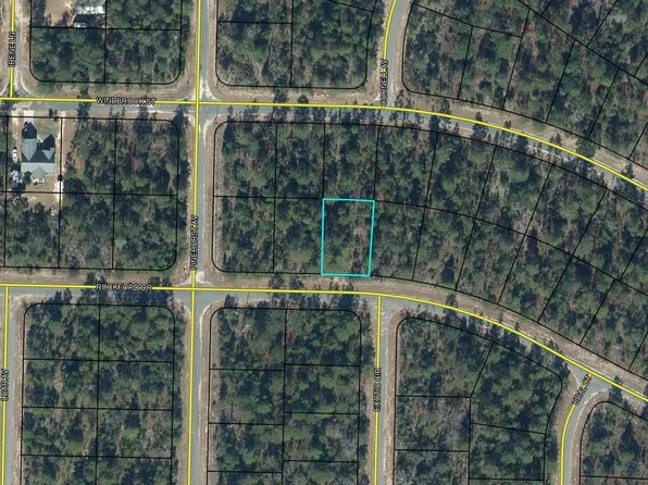 LOT 20 Rockford Dr, Sunny Hills, FL 32428