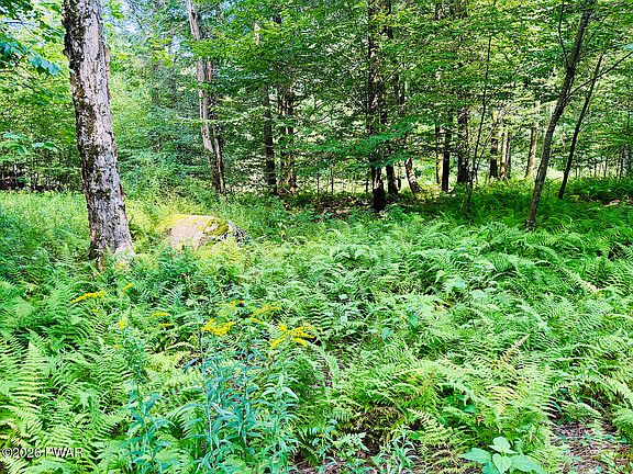 2nd image of 0 Callicoon Rd
