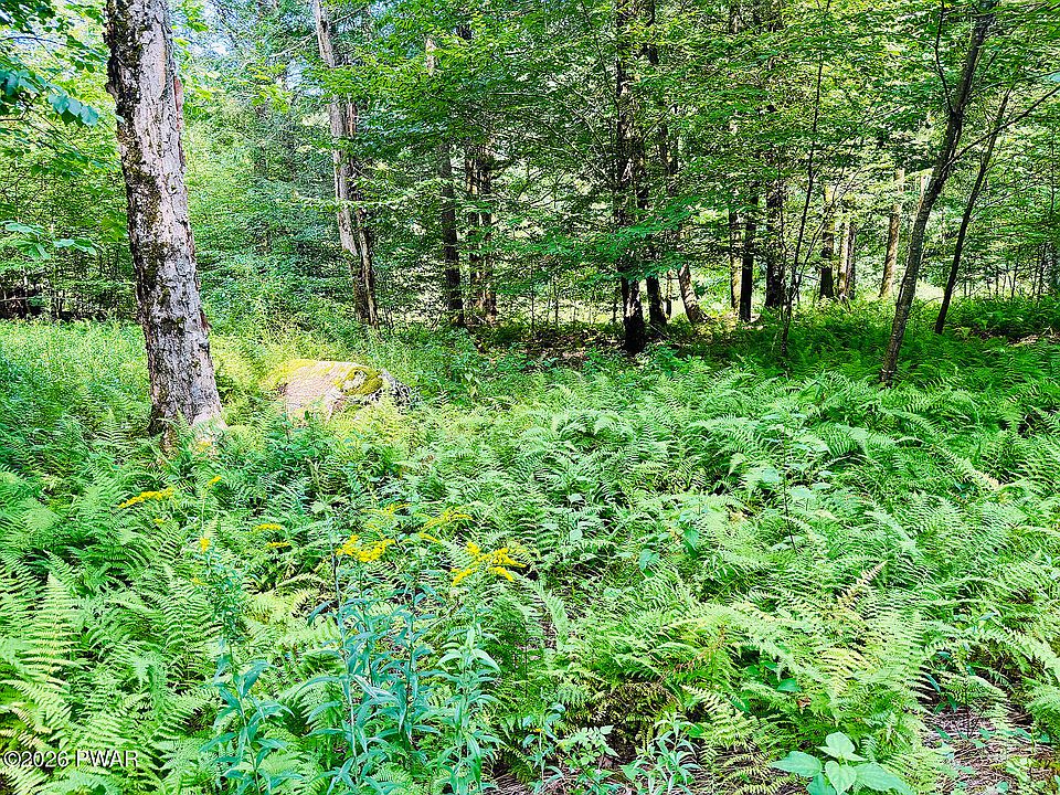 1st image of 0 Callicoon Rd