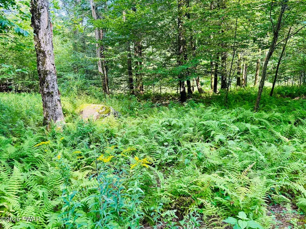 0 Callicoon Rd, Damascus, PA 18415
