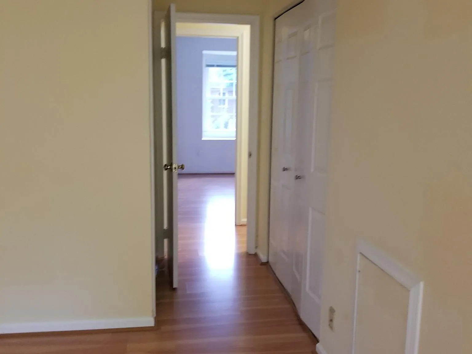 Edan Mae Ct, Annandale — Photo 2
