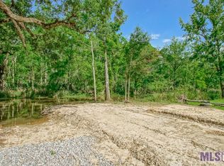 13245 Petite Dr, Maurepas, LA 70449